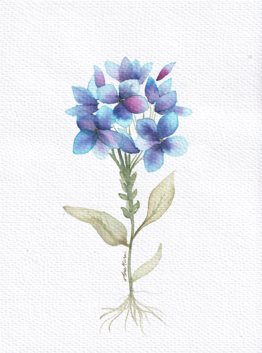 Blue Flower by Anamaria