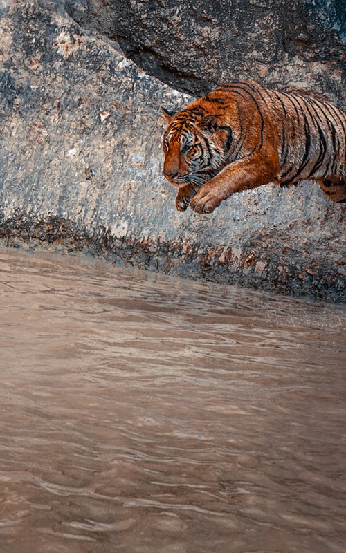 A tiger in the air by MINDIA MIDELASHVILI