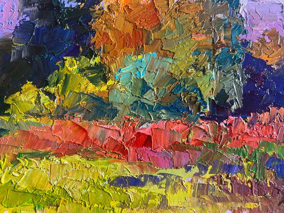 Autumn Meadows Outside the City