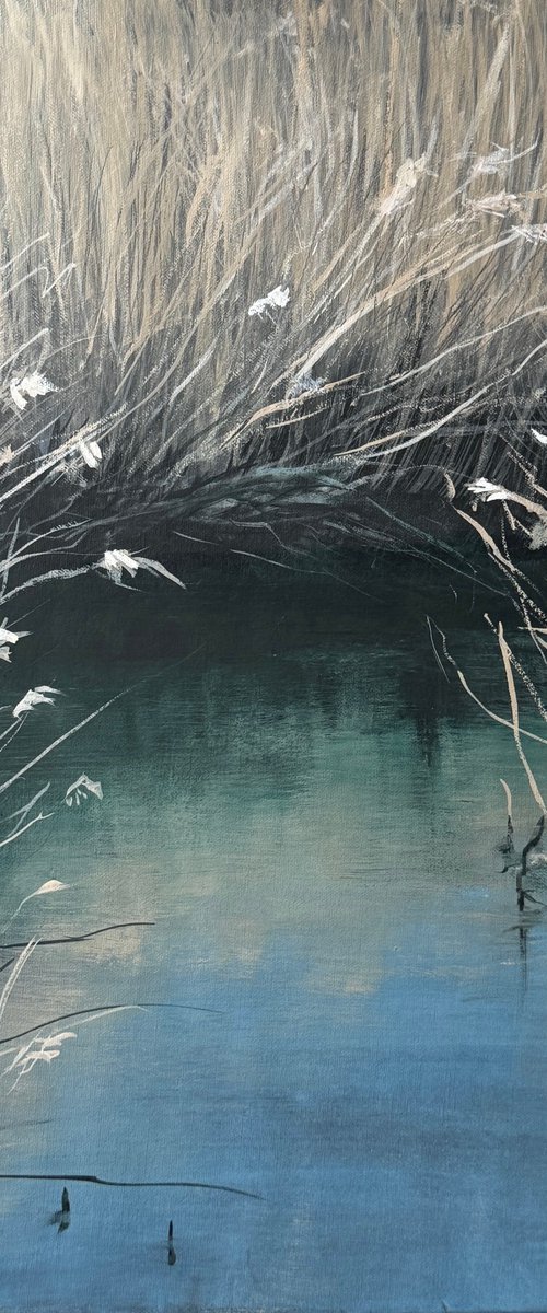 Hidden Water by Evgenija Koch
