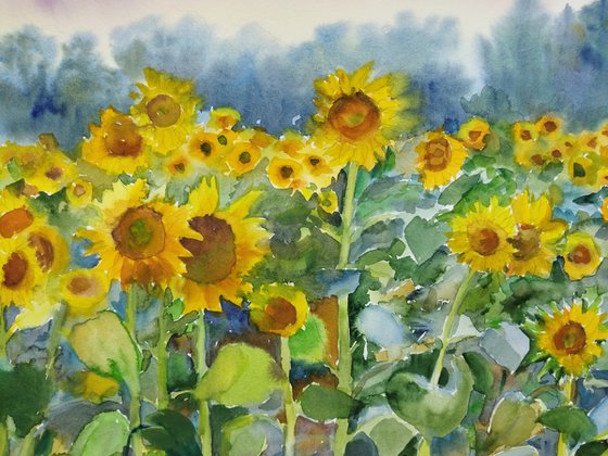 Landscape with sunflowers