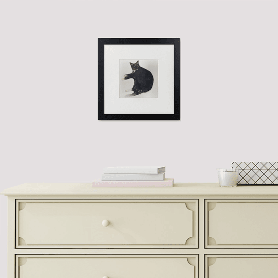 Mr Poo George the Cat framed