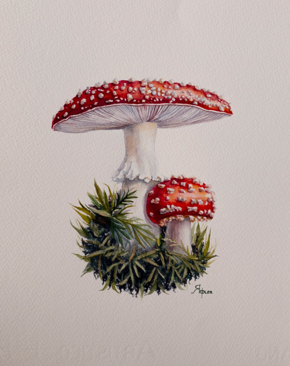 Fly agaric mushroom by Yafit Moshensky