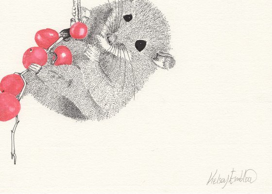 Dormouse handing from red berries