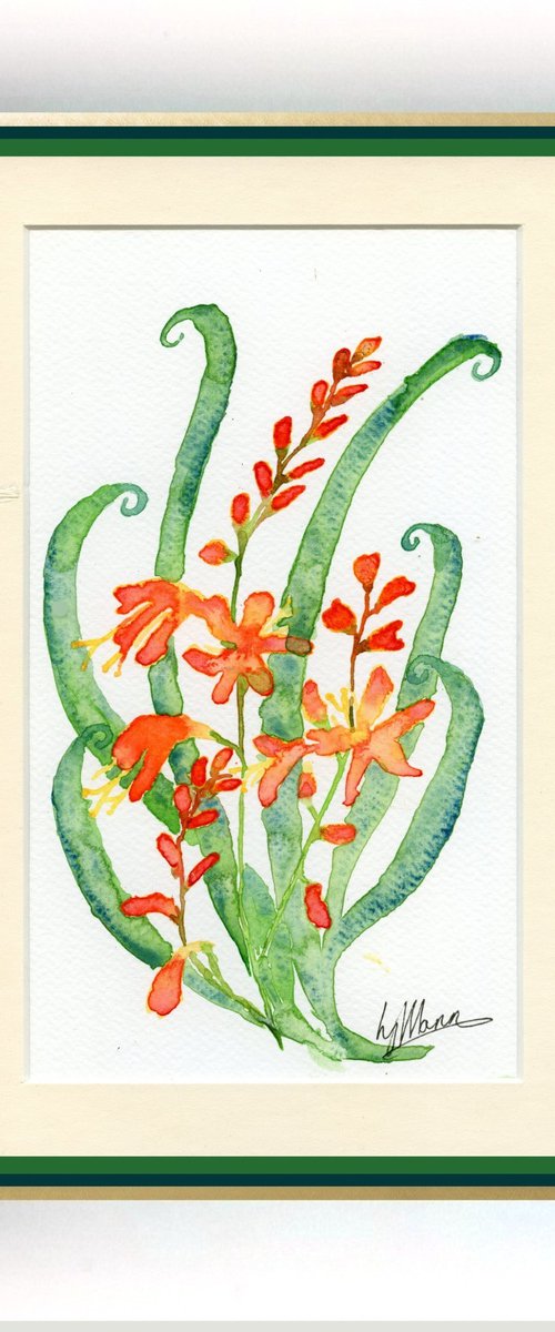 Crocosmia motif by Lisa Mann