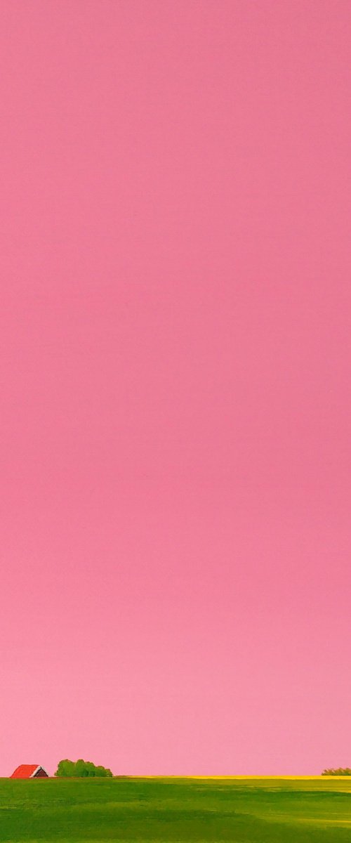 Pink sunrise (2) by Nelly van Nieuwenhuijzen