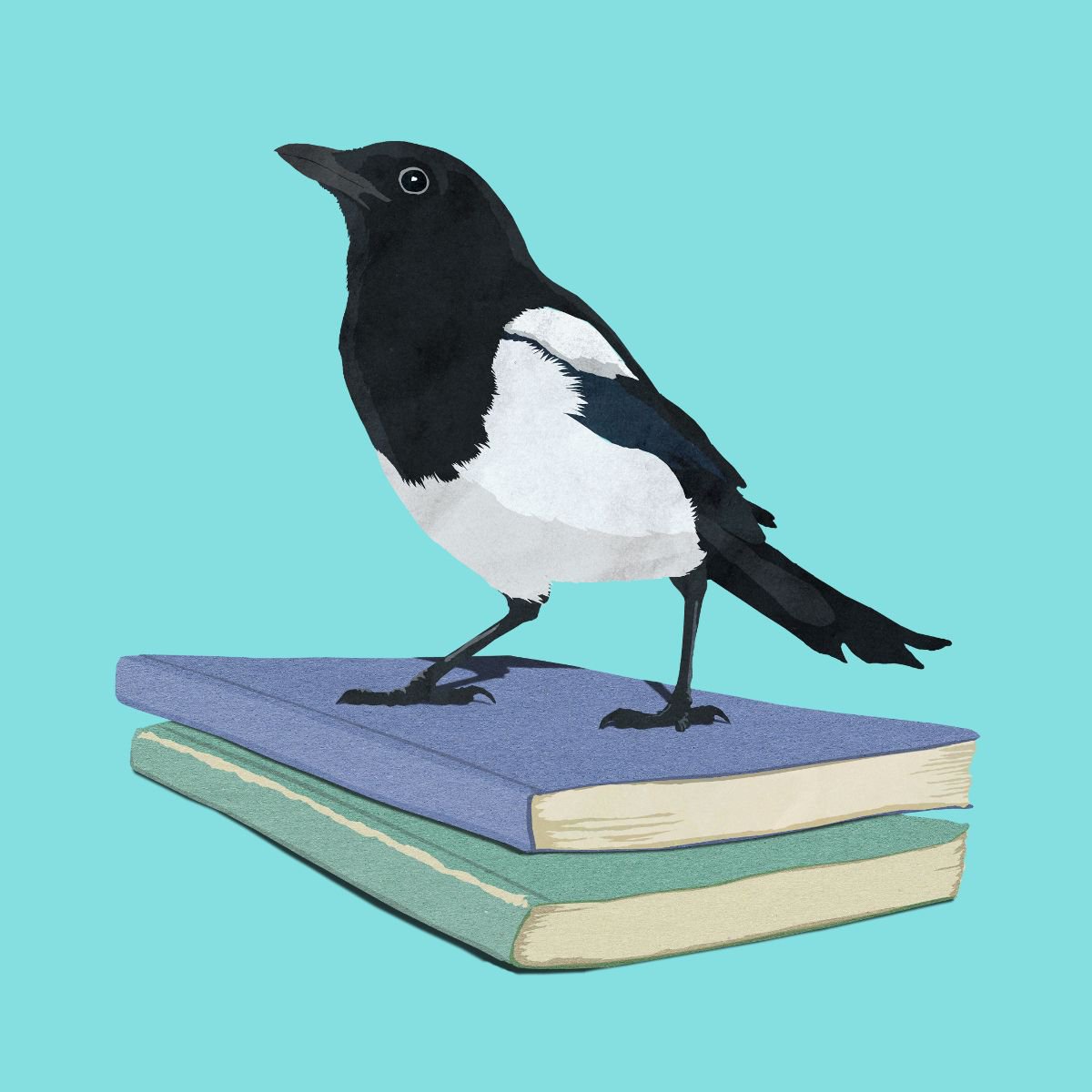 The Magpie Librarian by Peter Walters