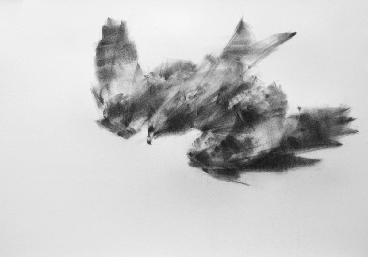kite I by Tianyin Wang