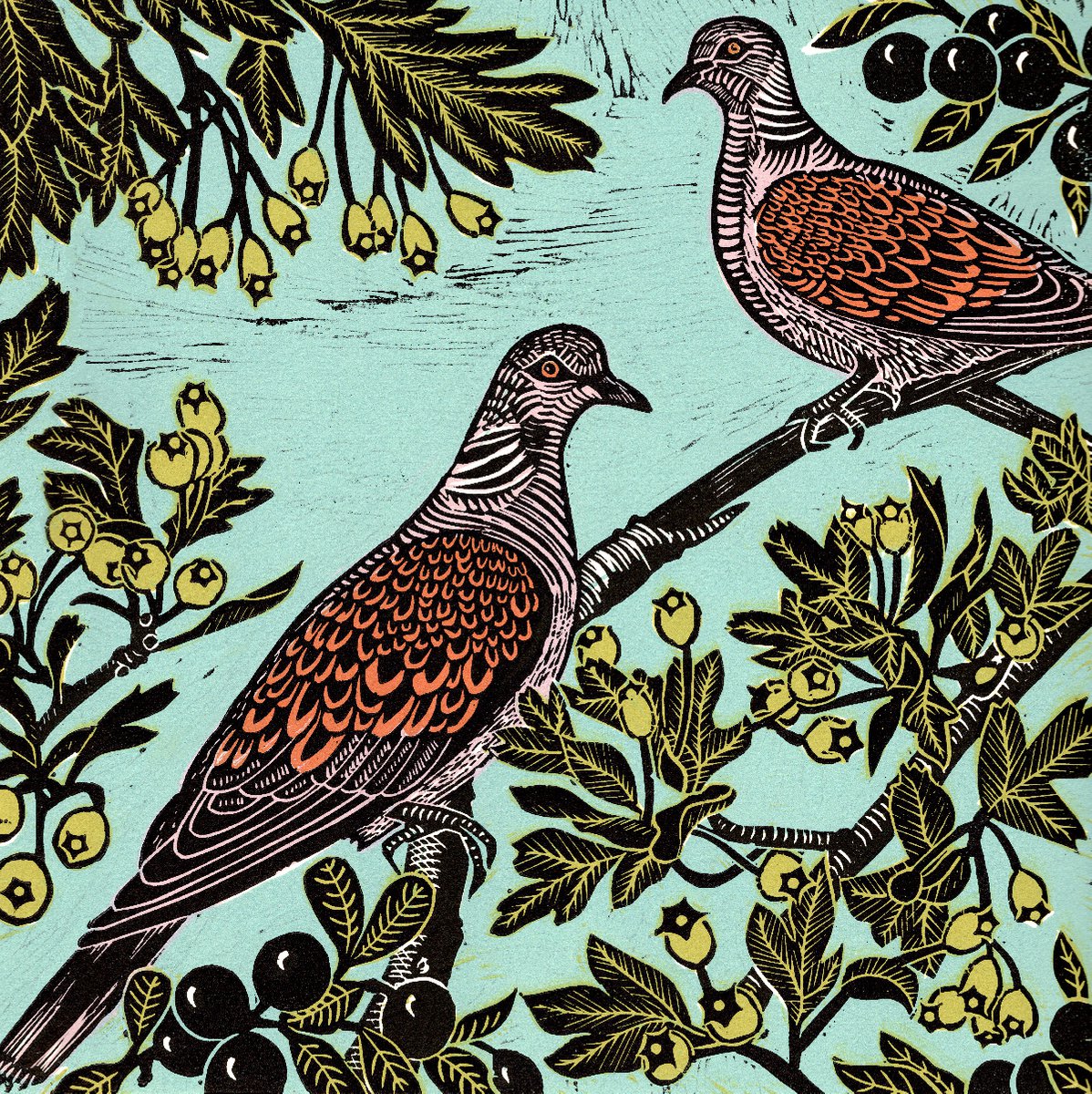 Two Turtle Doves by Kate Heiss