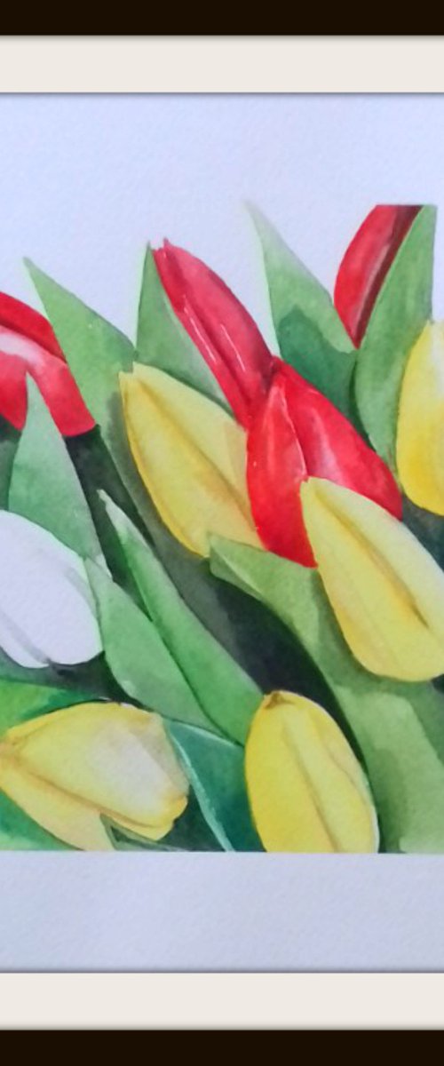 Mixed Tulips by Jan Rippingham