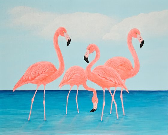Flamingo Dreams