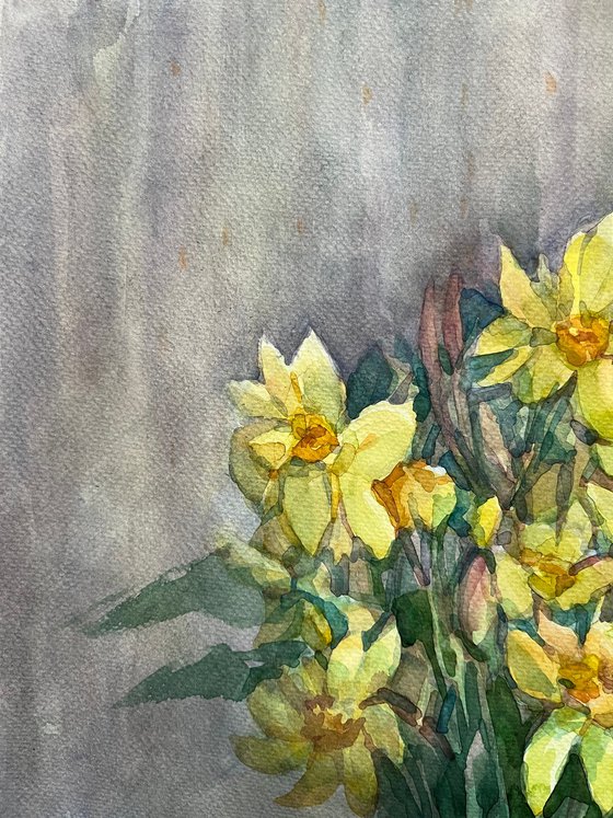 Ukrainian art Daffodils watercolors