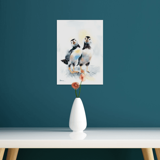 Pair of puffins