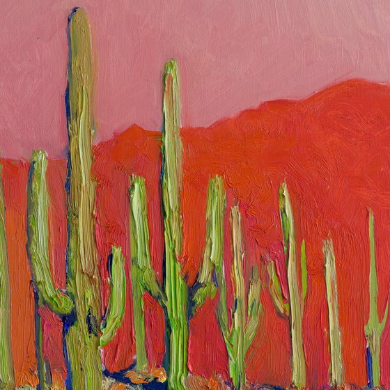 Warm Reflections. Saguaros in the Desert