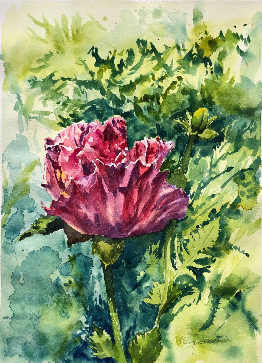 Impressionistic Botanical Watercolour By Krystyna Szczepanowski, 11 X 15", Patty