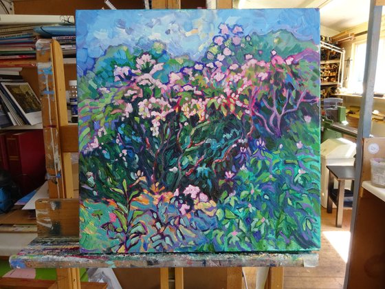 Floral Landscape - Rhododendrons