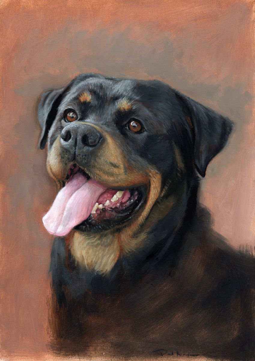 Rottweiler Portrait by Paul Moyse