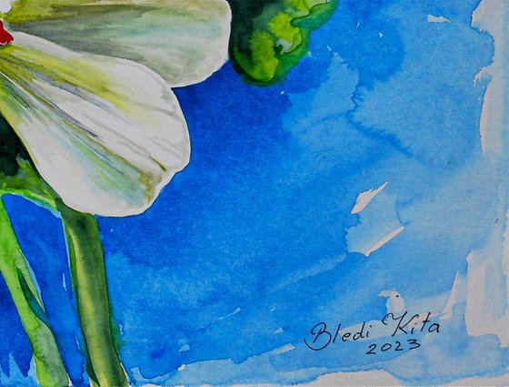 Flowers, watercolor