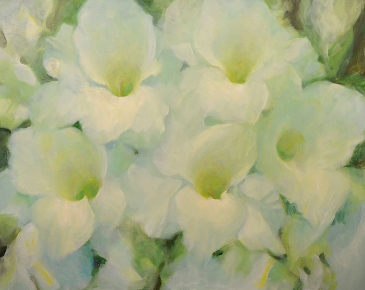 White blossoms by HELINDA (Olga Muller)