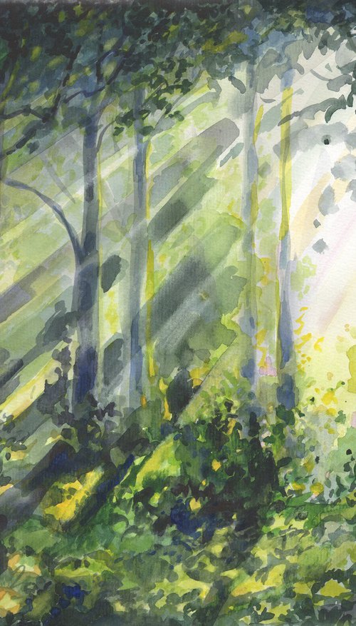 Morning forest by Jolanta Czarnecka
