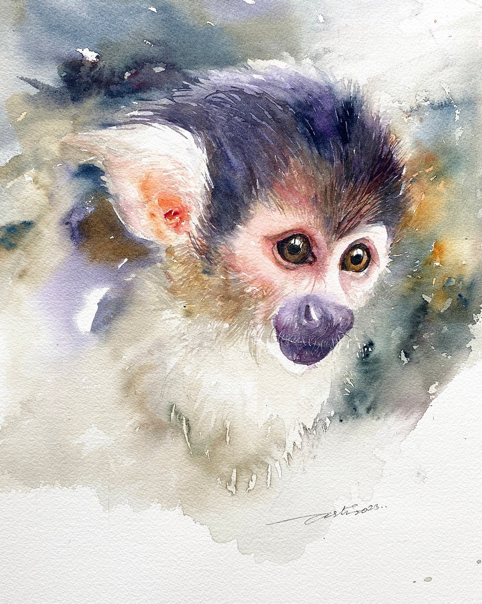 Arnie the Monkey by Arti Chauhan