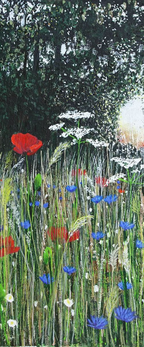 Wildflower Meadow 5 by Roz Edwards
