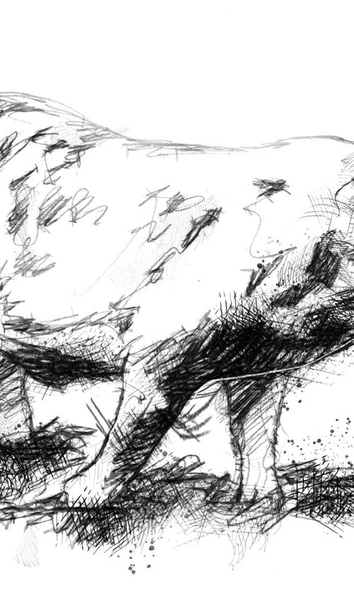 Oxford spotted pig by Sean Briggs