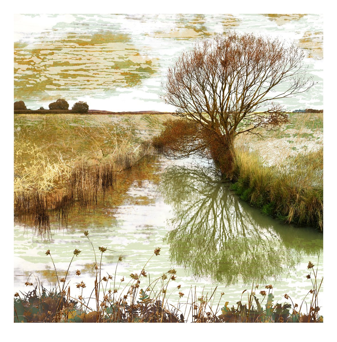 Impressionistic Landscape Photograph By Claire Gill, 24 X 24, Amber & Rust, Original Artwork