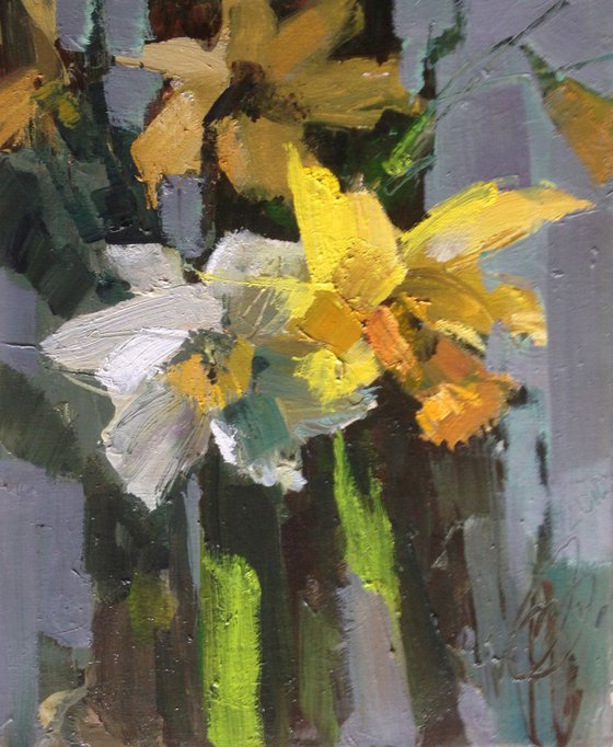 Etude (daffodil)