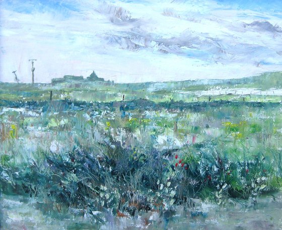 Croft Land at Lettan