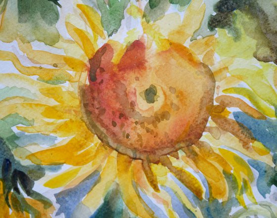 Sunflowers