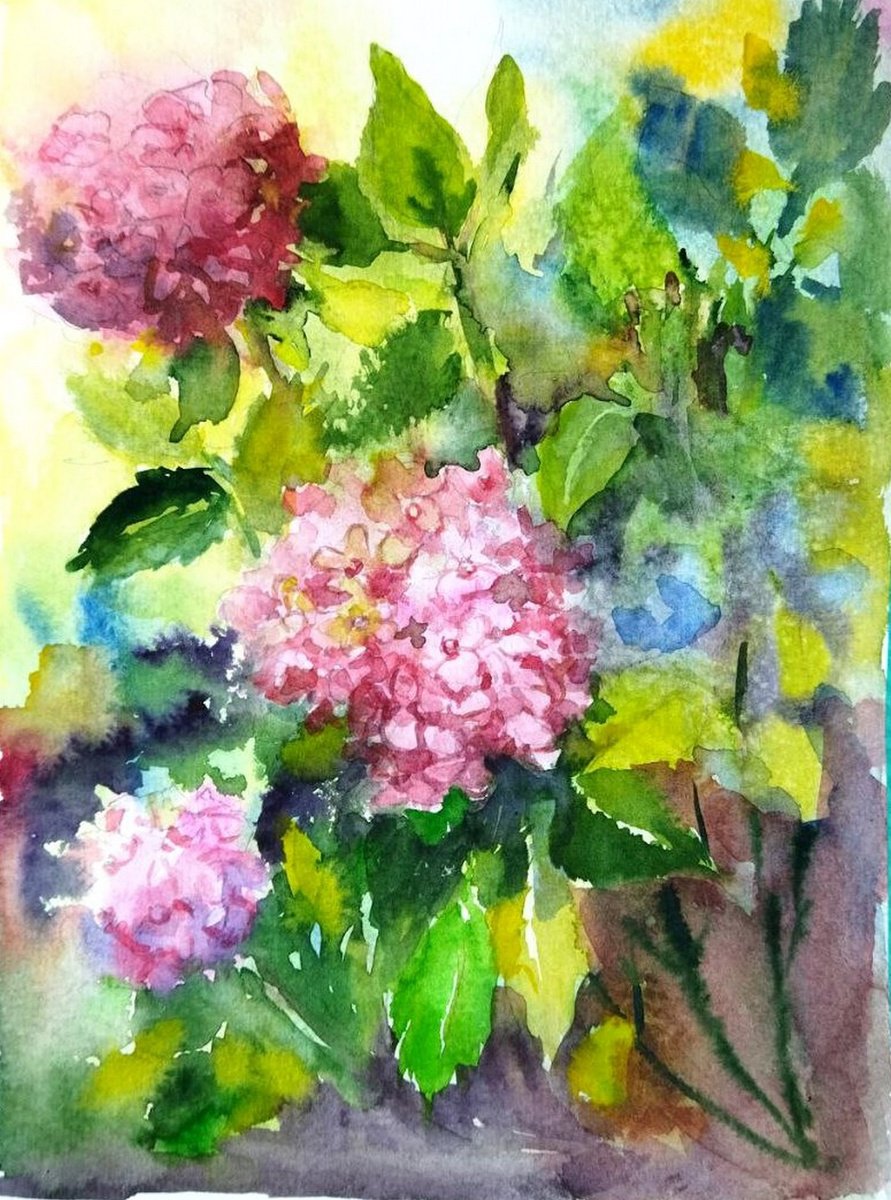 Hydrangeas flowers in garden watercolor painting by Ann Krasikova