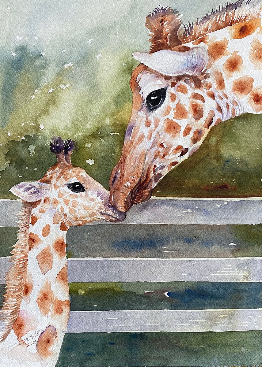 Giraffe Mother and baby-A Gentle Nuzzle by Arti Chauhan