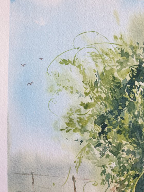 Wisteria watercolor sketch