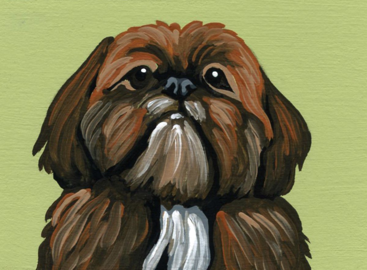 ACEO ATC Original Miniature Painting Shih Tzu Pet Dog Art-Carla Smale by carla smale