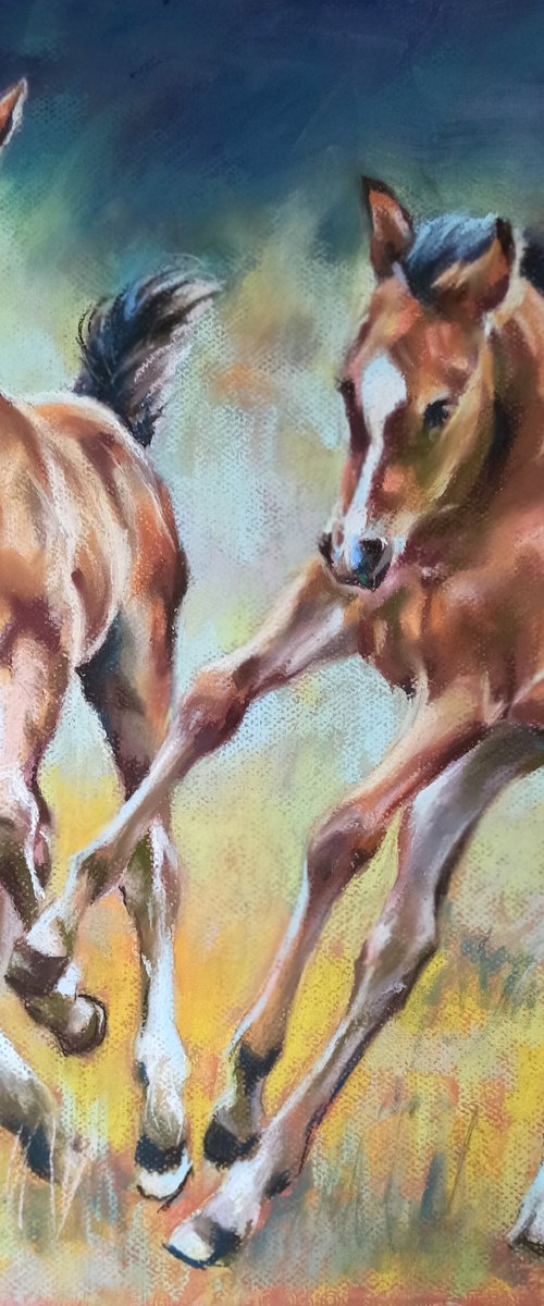 foals by Magdalena Palega