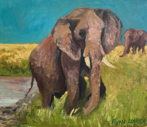 Elephant by the River by Ryan  Louder