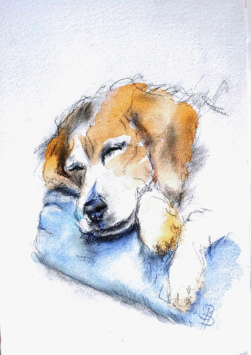 Illustrative Animal Watercolour By Sbboursot, 7 X 10", Sweet Dreams, Original Artwork