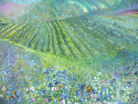 Lavender in Provence 2025