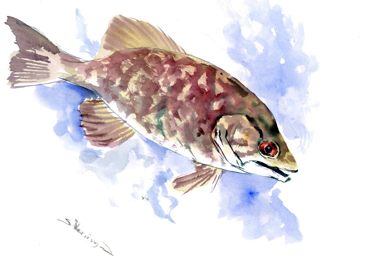 Bass Fish by Suren Nersisyan
