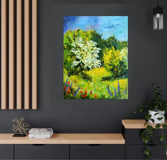 Blooming hawthorn - 7924