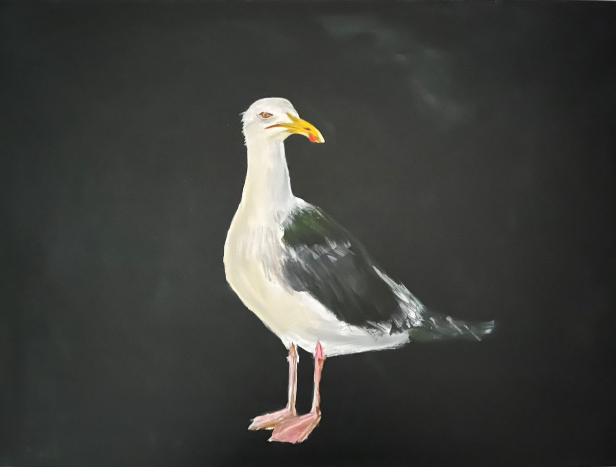 Linda the Seagull by Anna Lockwood