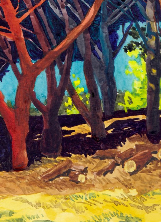 Pine Trees