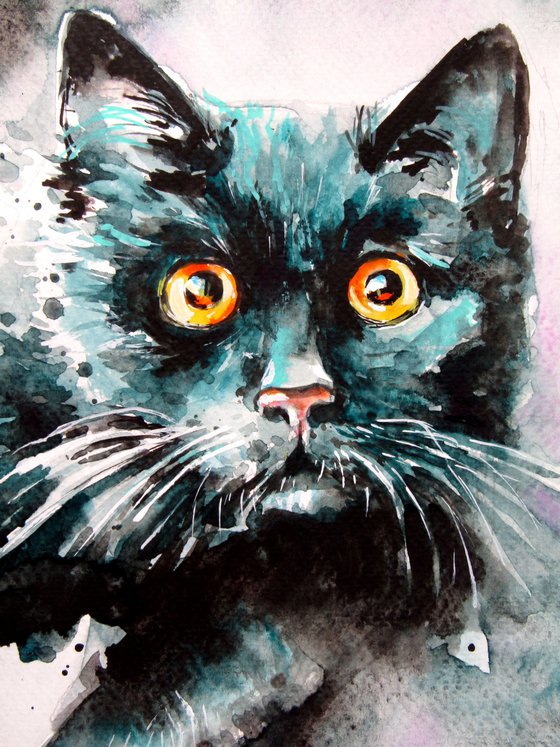 Black cat