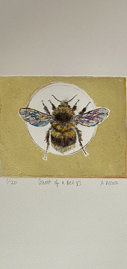 Ghost of a Bee VI (VE 1/20) by Anna Alcock
