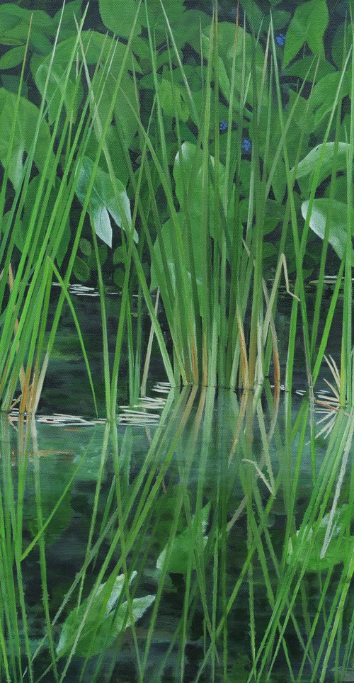 Water, Reeds, Reflection by Steven Fleit