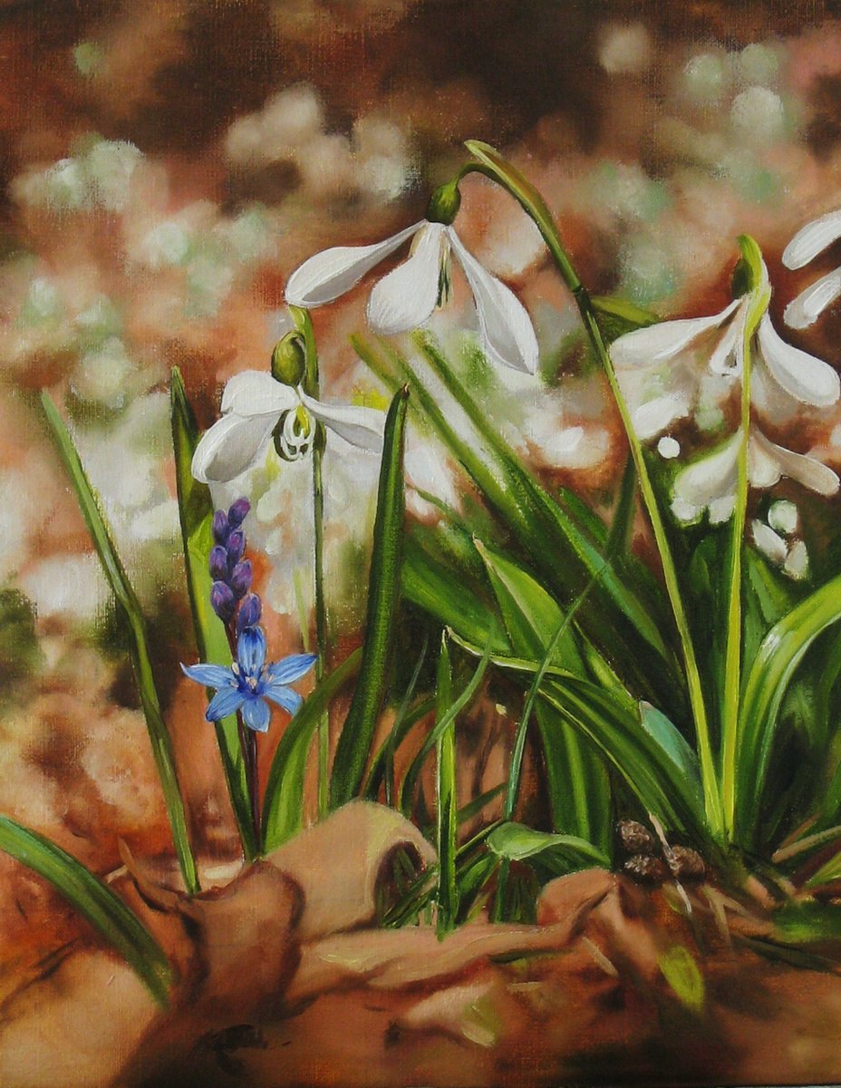 Photorealistic Oil Painting , Snowdrops And Blue Blossom By Natalia Shaykina, 7 X 9, Artwork For Sale On Artfinder