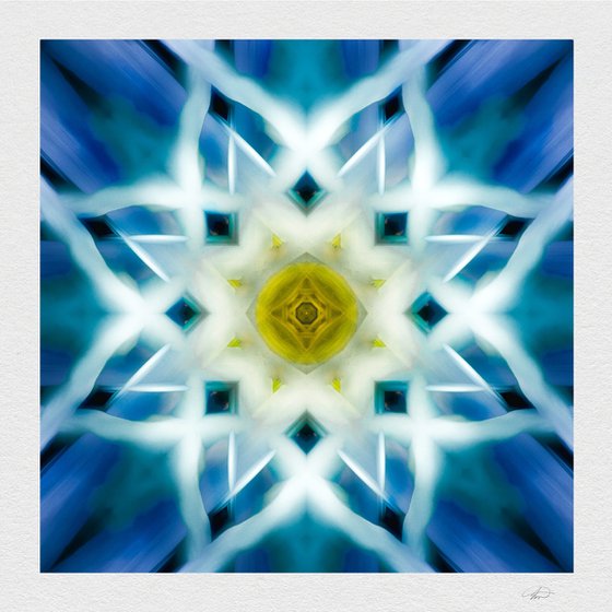 Floral Knotwork