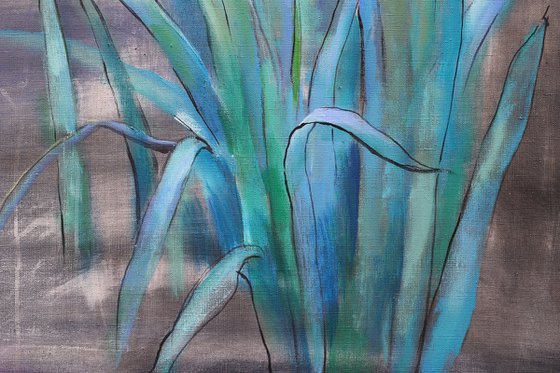 The Garden of Iris