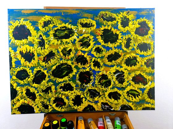 Blooming sunflowers 7